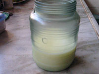 ギーの作り方インドカレー・アーユルヴェーダ料理レシピ