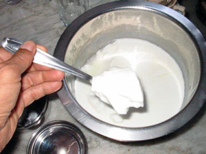 自家製プレーン・ヨーグルトの作り方、簡単レシピ