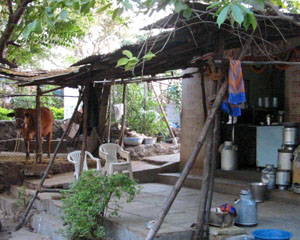 自家製プレーン・ヨーグルトの作り方、簡単レシピ