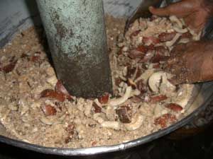 冷搾ココナッツ・オイル