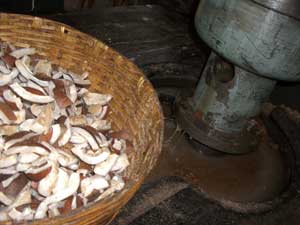 冷搾ココナッツ・オイル