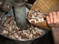 冷搾ココナッツ・オイル