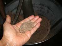 冷搾ココナッツ・オイル