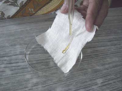 蜂蜜（はちみつ）