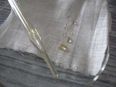 蜂蜜（はちみつ）