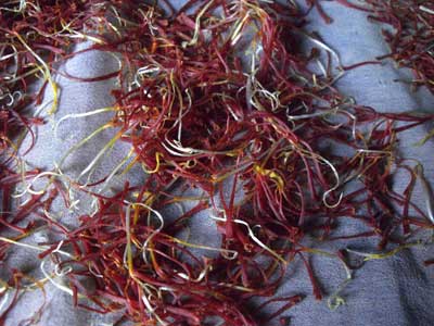 サフラン