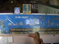 チャンダン（白檀・サンダルウッド）