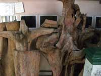 チャンダン（白檀・サンダルウッド）