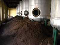 チャンダン（白檀・サンダルウッド）